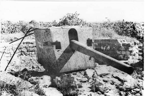 Иллюстрация к книге — Гвардейский крейсер «Красный Кавказ». [pic_81.jpg]