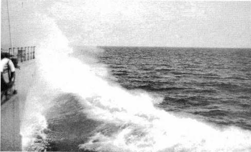 Иллюстрация к книге — Дредноуты Балтики. 1914-1922 гг. [pic_176.jpg]