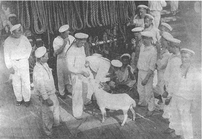 Иллюстрация к книге — Корветы “Витязь” и “Рында”. 1882-1922 гг. [img_30.jpg]