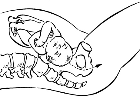 Иллюстрация к книге — Мать и дитя. Энциклопедия счастливого материнства от зачатия до первых шагов [_150.jpg]