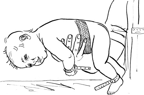 Иллюстрация к книге — Мать и дитя. Энциклопедия счастливого материнства от зачатия до первых шагов [_156.jpg]