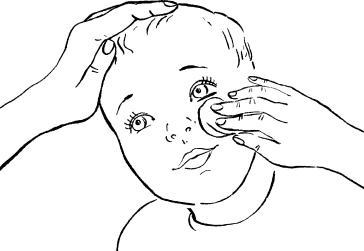 Иллюстрация к книге — Мать и дитя. Энциклопедия счастливого материнства от зачатия до первых шагов [_164.jpg]