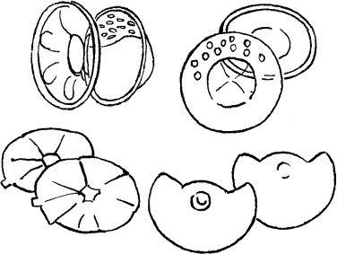 Иллюстрация к книге — Мать и дитя. Энциклопедия счастливого материнства от зачатия до первых шагов [_171.jpg]