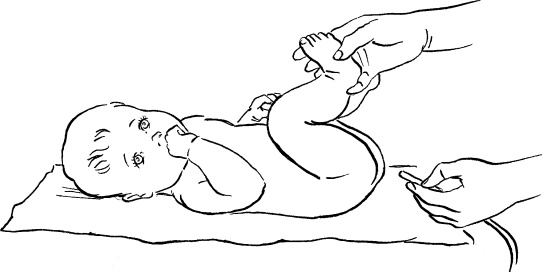 Иллюстрация к книге — Мать и дитя. Энциклопедия счастливого материнства от зачатия до первых шагов [_186.jpg]