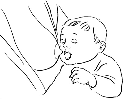 Иллюстрация к книге — Мать и дитя. Энциклопедия счастливого материнства от зачатия до первых шагов [_192.jpg]