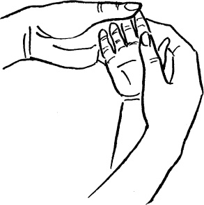 Иллюстрация к книге — Мать и дитя. Энциклопедия счастливого материнства от зачатия до первых шагов [_204.jpg]