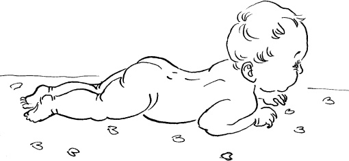 Иллюстрация к книге — Мать и дитя. Энциклопедия счастливого материнства от зачатия до первых шагов [_206.jpg]