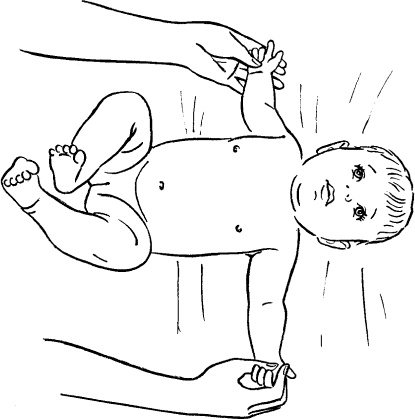 Иллюстрация к книге — Мать и дитя. Энциклопедия счастливого материнства от зачатия до первых шагов [_216.jpg]