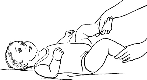 Иллюстрация к книге — Мать и дитя. Энциклопедия счастливого материнства от зачатия до первых шагов [_219.jpg]