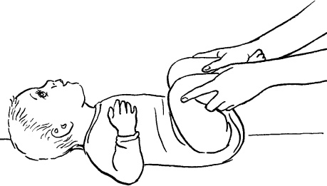 Иллюстрация к книге — Мать и дитя. Энциклопедия счастливого материнства от зачатия до первых шагов [_220.jpg]