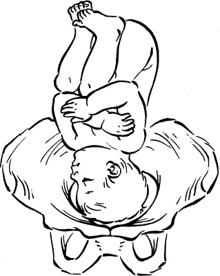 Иллюстрация к книге — Мать и дитя. Энциклопедия счастливого материнства от зачатия до первых шагов [_27.jpg]