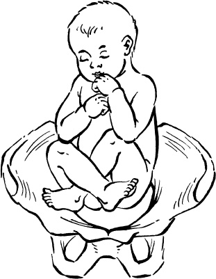 Иллюстрация к книге — Мать и дитя. Энциклопедия счастливого материнства от зачатия до первых шагов [_30.jpg]