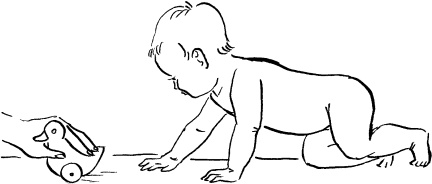 Иллюстрация к книге — Мать и дитя. Энциклопедия счастливого материнства от зачатия до первых шагов [_302.jpg]