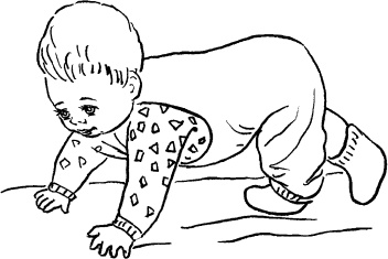 Иллюстрация к книге — Мать и дитя. Энциклопедия счастливого материнства от зачатия до первых шагов [_312.jpg]