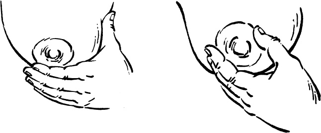 Иллюстрация к книге — Мать и дитя. Энциклопедия счастливого материнства от зачатия до первых шагов [_343.jpg]