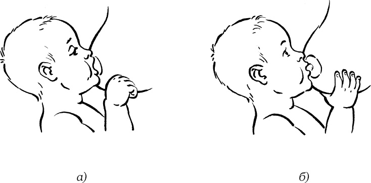 Иллюстрация к книге — Мать и дитя. Энциклопедия счастливого материнства от зачатия до первых шагов [_349.jpg]