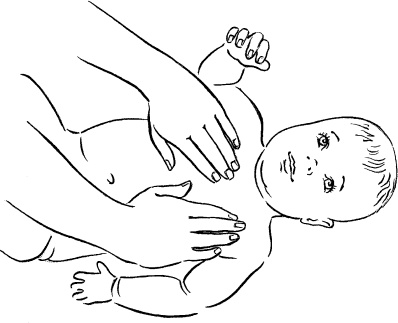 Иллюстрация к книге — Мать и дитя. Энциклопедия счастливого материнства от зачатия до первых шагов [_356.jpg]