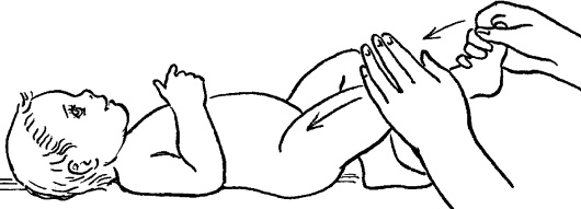 Иллюстрация к книге — Мать и дитя. Энциклопедия счастливого материнства от зачатия до первых шагов [_360.jpg]