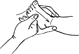 Иллюстрация к книге — Мать и дитя. Энциклопедия счастливого материнства от зачатия до первых шагов [_366.jpg]