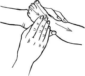 Иллюстрация к книге — Мать и дитя. Энциклопедия счастливого материнства от зачатия до первых шагов [_367.jpg]