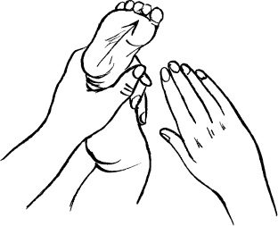 Иллюстрация к книге — Мать и дитя. Энциклопедия счастливого материнства от зачатия до первых шагов [_370.jpg]