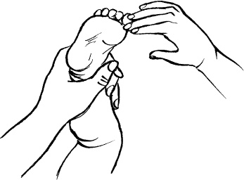 Иллюстрация к книге — Мать и дитя. Энциклопедия счастливого материнства от зачатия до первых шагов [_371.jpg]