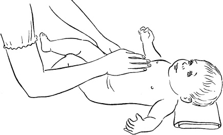 Иллюстрация к книге — Мать и дитя. Энциклопедия счастливого материнства от зачатия до первых шагов [_372.jpg]