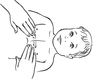 Иллюстрация к книге — Мать и дитя. Энциклопедия счастливого материнства от зачатия до первых шагов [_376.jpg]