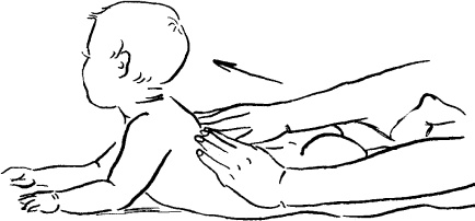 Иллюстрация к книге — Мать и дитя. Энциклопедия счастливого материнства от зачатия до первых шагов [_384.jpg]