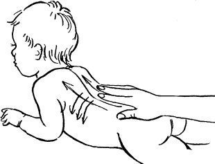 Иллюстрация к книге — Мать и дитя. Энциклопедия счастливого материнства от зачатия до первых шагов [_385.jpg]