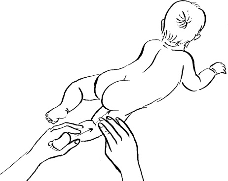 Иллюстрация к книге — Мать и дитя. Энциклопедия счастливого материнства от зачатия до первых шагов [_390.jpg]