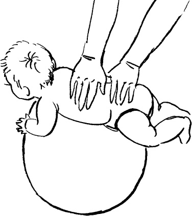 Иллюстрация к книге — Мать и дитя. Энциклопедия счастливого материнства от зачатия до первых шагов [_392.jpg]