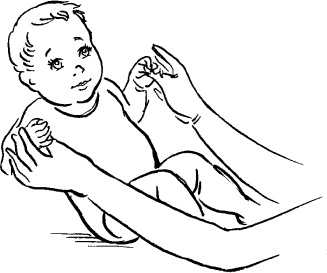 Иллюстрация к книге — Мать и дитя. Энциклопедия счастливого материнства от зачатия до первых шагов [_416.jpg]