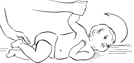 Иллюстрация к книге — Мать и дитя. Энциклопедия счастливого материнства от зачатия до первых шагов [_417.jpg]