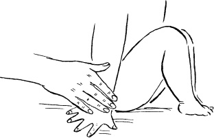 Иллюстрация к книге — Мать и дитя. Энциклопедия счастливого материнства от зачатия до первых шагов [_420.jpg]