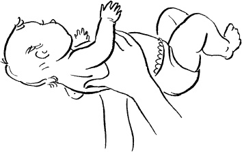 Иллюстрация к книге — Мать и дитя. Энциклопедия счастливого материнства от зачатия до первых шагов [_437.jpg]