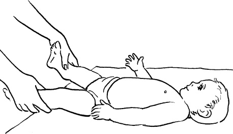 Иллюстрация к книге — Мать и дитя. Энциклопедия счастливого материнства от зачатия до первых шагов [_439.jpg]