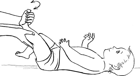 Иллюстрация к книге — Мать и дитя. Энциклопедия счастливого материнства от зачатия до первых шагов [_440.jpg]