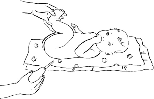 Иллюстрация к книге — Мать и дитя. Энциклопедия счастливого материнства от зачатия до первых шагов [_498.jpg]