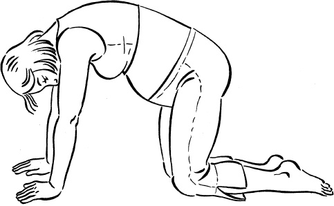 Иллюстрация к книге — Мать и дитя. Энциклопедия счастливого материнства от зачатия до первых шагов [_66.jpg]