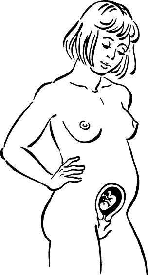 Иллюстрация к книге — Мать и дитя. Энциклопедия счастливого материнства от зачатия до первых шагов [_9.jpg]