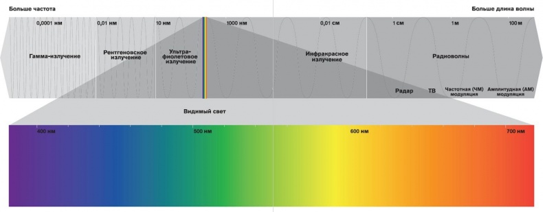 Иллюстрация к книге — Тайная жизнь цвета [i_002.jpg]