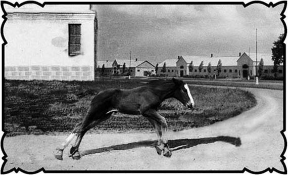 Иллюстрация к книге — Соль с Жеваховой горы [i_001.jpg]