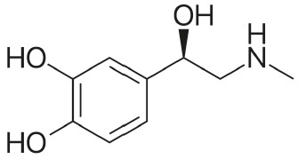 Иллюстрация к книге — Вся правда о гормонах и не только [i_013.jpg]