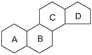 Иллюстрация к книге — Вся правда о гормонах и не только [i_018.jpg]