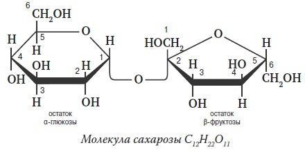 Иллюстрация к книге — Вся правда о гормонах и не только [i_029.jpg]
