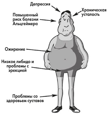 Иллюстрация к книге — Вся правда о гормонах и не только [i_032.jpg]