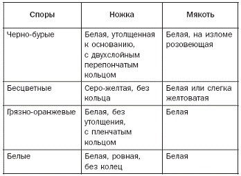 Иллюстрация к книге — Полная энциклопедия грибов [pic_10.jpg]