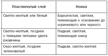Иллюстрация к книге — Полная энциклопедия грибов [pic_14.jpg]
