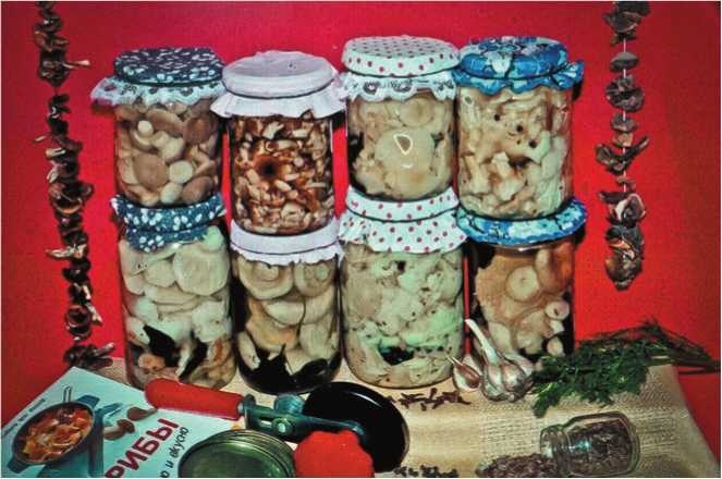 Иллюстрация к книге — Малоизвестные съедобные грибы [i_200.jpg]